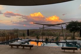 Windhoek Bed & Breakfast | Namibia Villa Zula B&B - Queen Honey Bee (#1)