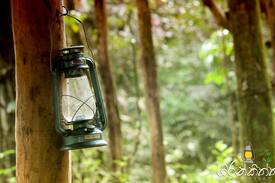 Kithulgala Cabin | Girankiththa Eco Resort(3)