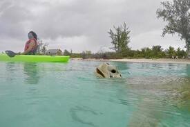 Great Exuma Apartment | STUDIO for TWO on BEST BEACH on EXUMA - QUEEN BED