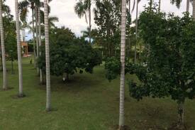 Cerritos House | Beautiful, Modern Home in Maracay Cerritos Pereira