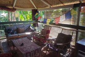 Coconut Grove House | JUNGLE HOME. MOON ROOM IN BUNGALOW.