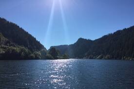Scottsburg Cabin | Umpqua River cabin with dock. Swim, Fish, Relax!