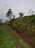 Rio Cuarto de Grecia Apartment | Hospedaje Finca Eco-amigable La Amistad ( 2 )