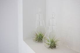 Jeonju House | #전주게스트하우스 DaemyungGuestHouse 대명여관