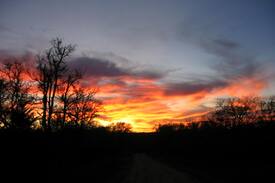 Smithville Apartment | Texas Cattle Ranch Apartment