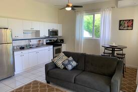 Grapetree Apartment | East End 1/1 Apartment with a View