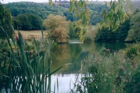 Compton Abbas House | Lakeside Cottage - at Incombe Farm