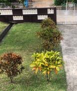 St. Andrew House | Selma's Simple & Sweet