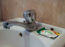 Somolu Hotel | Cozy low cost Palmgrove suite