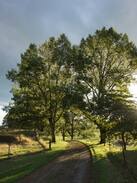 Central Hawke's Bay District Other | Mountain View B&B