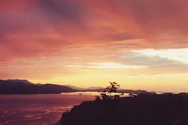 Pender Island Other | Whale Pod Chalet at Oaks Bluff Whale watching