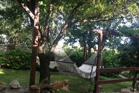 Balchik House | Villa Kafe - rustic, green and blue