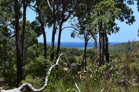Eagle Bay Bed & Breakfast | Eagle Bay House - Autumn Room (twin)