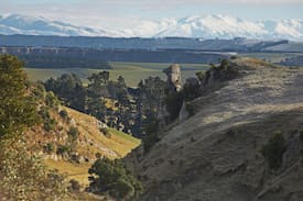 Waimate District Cabin | Rustic Farm Cottage with views and open space