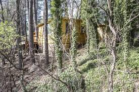 Kohls Ranch Cabin | Creekside at Kohl's Ranch