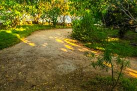 Diani Beach House | Serene cottages near Diani Beach