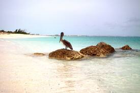 Leeward Settlement House | Enjoy Turks & Caicos on a Budget!
