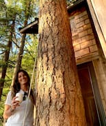 Vashon Island Other | Eagles’ Bluff Treehouse
