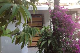 Puerto Juarez House | Quinta Salamandra tropical paradise close to beach