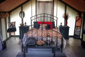Courtenay Other | Wellspring Wall Tent Retreat - Tuxedo Room (#2 )