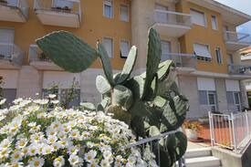 Marina di Andora Apartment | Bilocali tranquilli ad Andora CITR 009006-CAV-0005