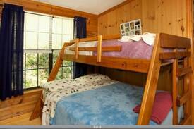 Clifford Cabin | Hummingbird Haven (Log Cabin)
