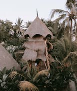 Peliatan Other | Firefly Eco Lodge Bamboo birdsnest level 4