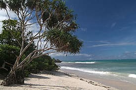 Galu Beach Apartment | Apple Mango Apartments - Diani, Kenya - Sue's