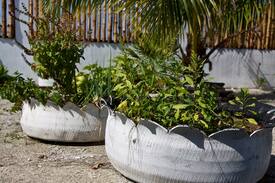 Caye Caulker Apartment | Bay Breezes apt #3, Caye Caulker