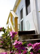 Caye Caulker Apartment | Bay Breezes apt #3, Caye Caulker