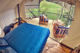 Travers Other | Treehouse Tree Glamping La Coué