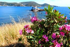 Alinda Apartment | Studio (3 or 4 persons) in ApartHotel Papafotis