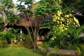 Galu Beach House | The Beach Plot Bungalow Najuma - Galu 723