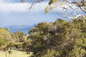 Swansea House | Coswell Beach House in the Bush at Swansea