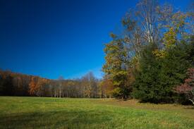 Elkins Cabin | Blissful Seclusion, 27 Mountain Riverfront Acres