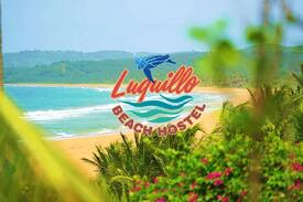 La Pared Hostel | Luquillo Beach Hostel- Leatherback Men's Dorm