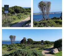 Sandbaai House | Hermanus - Our Happy Place