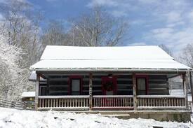 Bedford Cabin | Willow's bit of Heaven Cabin in the City