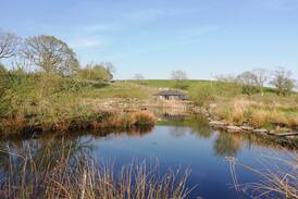 Kendal Cabin | The Duck Hut