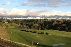 Central Hawke's Bay District Other | Mountain View B&B