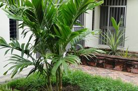 Club Santiago House | Tropical Days,Beach,Pool,Golf,Bar only 1 Room!