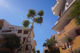 Punta Prima Apartment | Punta Prima 200m to beach & prom