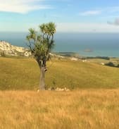 Omihi Cabin | Shearers Quarters - Motunau Beach Rd, Greta Valley