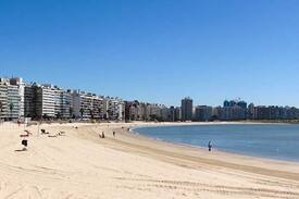 Pocitos Apartment | Beautiful studio apartment on the coast!