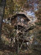 Dundee Other | Treehouse Village - The Sky Loft