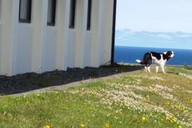 Skagafjordur House | Sólgarðar guesthouse Fljótum ds