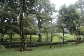 Cisarua Villa | Villa Anggrek, Warung Gunung. The Best in Cisarua