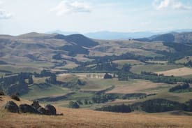 Omihi Cabin | Shearers Quarters - Motunau Beach Rd, Greta Valley