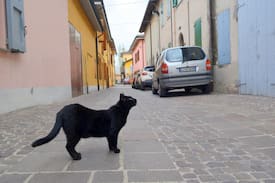 Crevalcore Bed & Breakfast | B&B La Corte Fiorita di Crevalcore