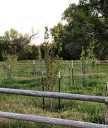 Beaver House | The Sheep Ranch at North Creek